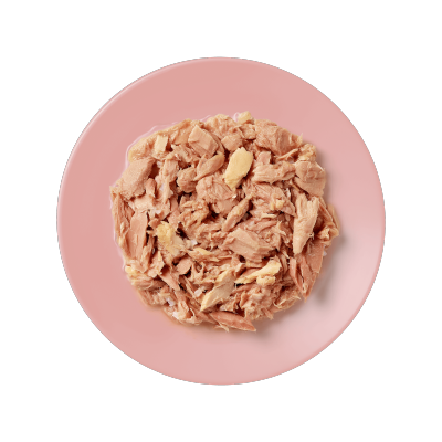 1028CE-A-Plate-OH-RGB_COMMS-2-jnMDBTxK-thumbnail