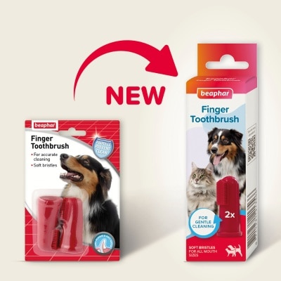 11327.N-fjDaXn89-thumbnail