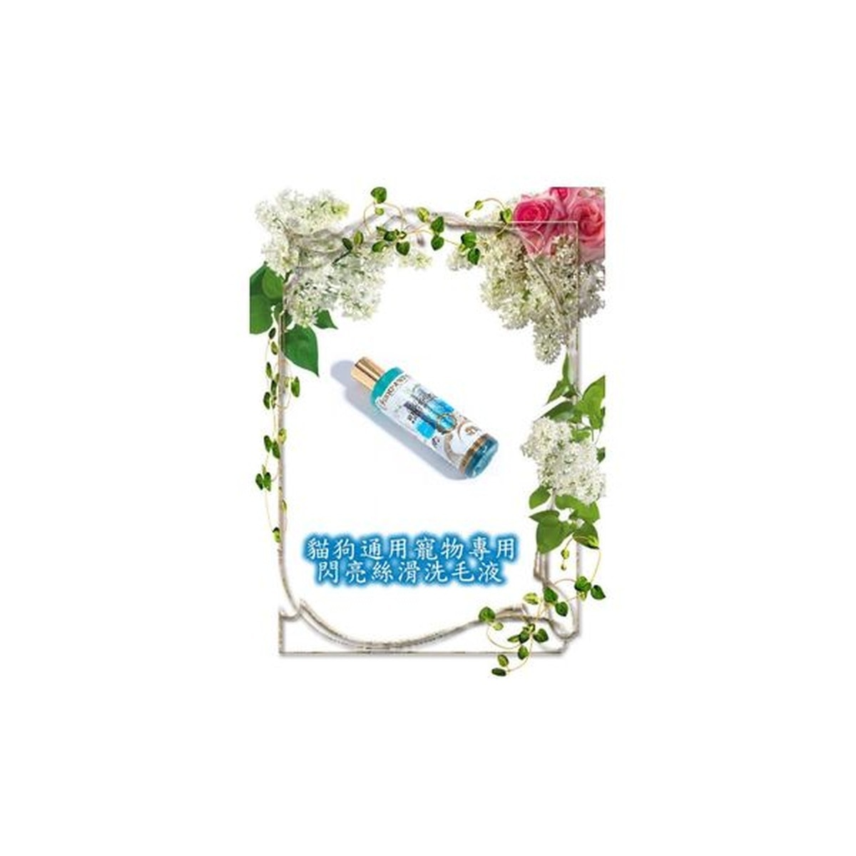 120-1-DhSzcnTGpx20230911161538_300-nEndkLLz-zoom