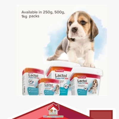 beaphar - Baphar Lactol Milk Replacer for Puppies