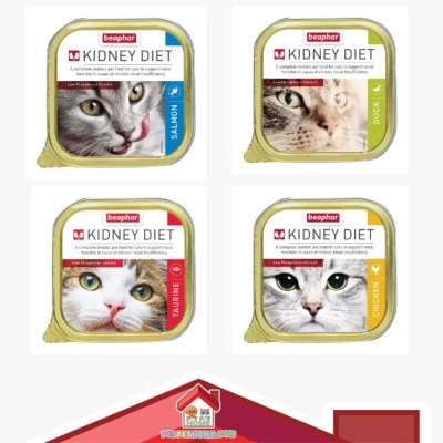 13376-9-fUBfS65X-prodcat