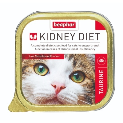 13376-LmS9jjy4-thumbnail