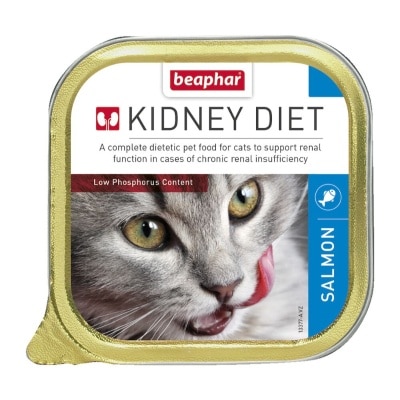 13377-wnwqqPeL-thumbnail