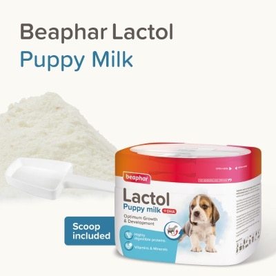 15201.6-dpuTiwVQ-thumbnail