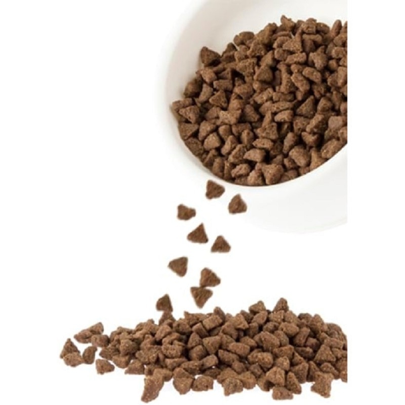 1aeeca7aae93f2b5c9d8c0ca4f56e955-570x570-4kJENm0Q-zoom