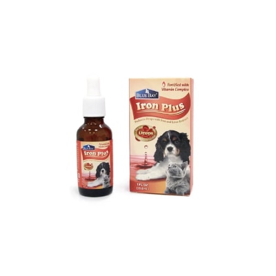 220-1-xiytMdGfPt20220609113332_300-PgpCRRTI-thumbnail