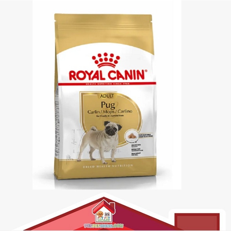 255700.a-skksGXQ4-zoom