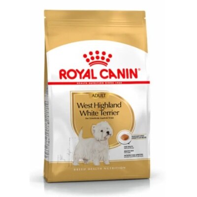 2559300-ETxbGD8V-thumbnail