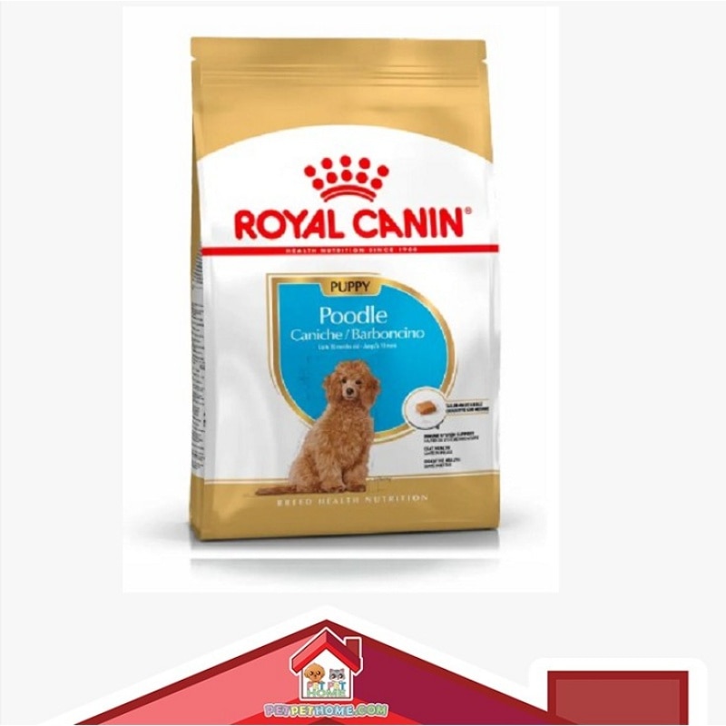 2576700.a-yHzLL6uf-zoom