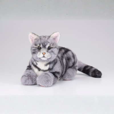 26-yrOpZfHP-prodcat