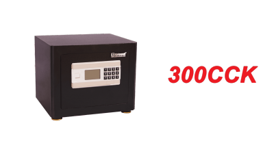 SafeWell Anti theft Safety Box image