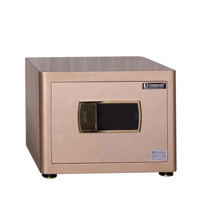SafeWell Anti theft Safety Box image