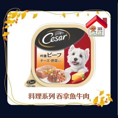 4902397790075.1-cf0jmGaT-thumbnail
