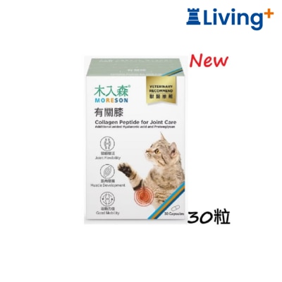 Moreson 木入森 猫咪 有关膝 image