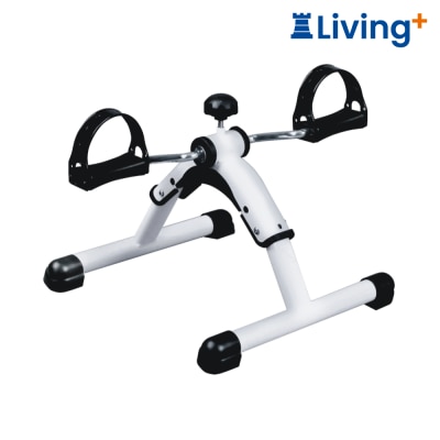 EMS Foldable Exercise Bike image