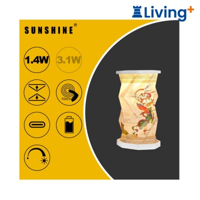 Sunshine Foldable Paper Lantern LNM01 image