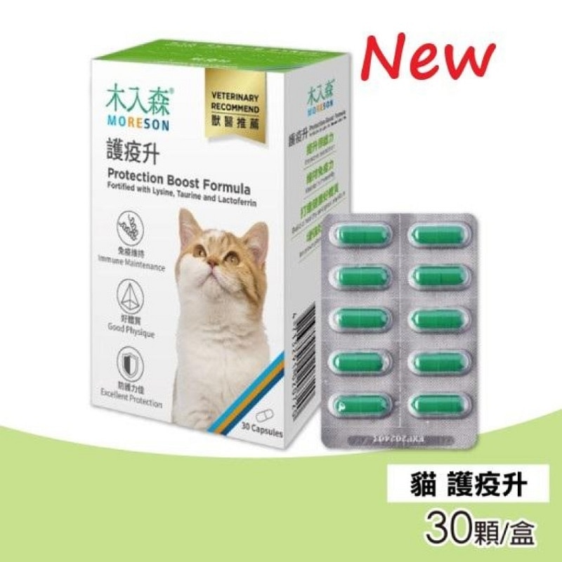 79b32ef0c1f3d3372094f830b73be2d9-850x850-VqGRLRWx-zoom