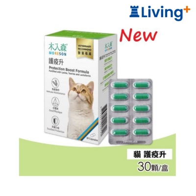 Moreson 木入森 猫咪 护疫升 image