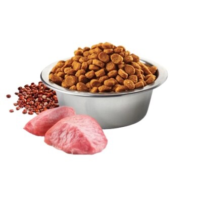 8010276035806.1-DjHEIzjO-thumbnail