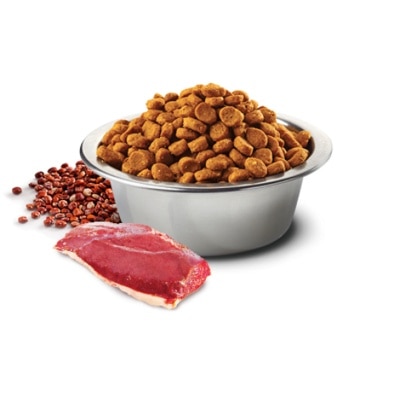 8010276035820.1-EAHsAF5m-thumbnail