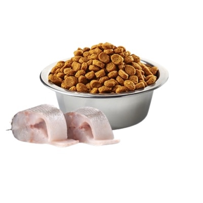 8010276041012.1-pcpnqYXh-thumbnail