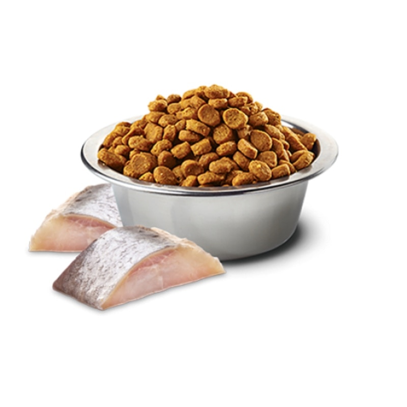 8010276041098.1-gsfnqLMw-zoom