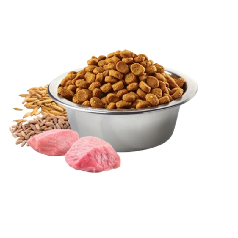 8010276042355.1-32TduurK-zoom