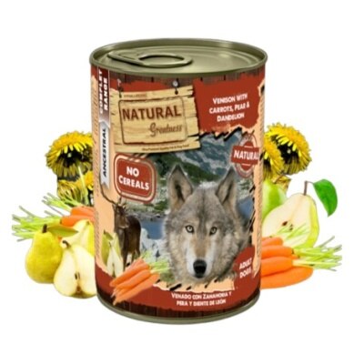 D-V400G-sdDXddm1-thumbnail