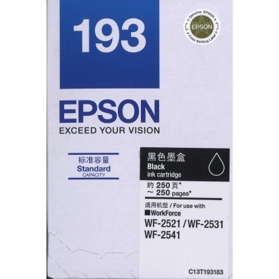 EPSON T193 Black Ink