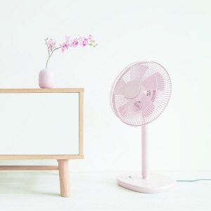 ROSE FANFAN セット 2025年最新】Yahoo!オークション -ローズファンファンセットの