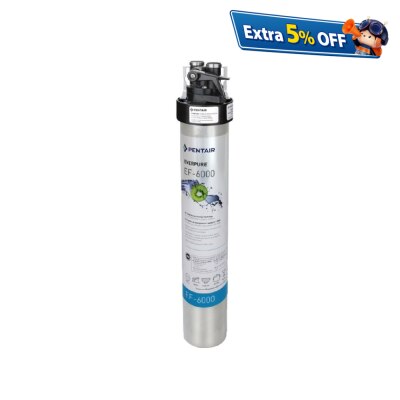 EVERPURE EF-6000 滤水器