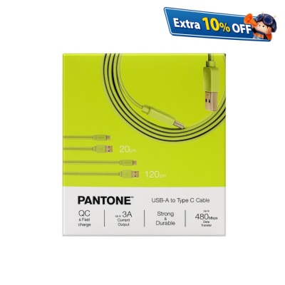 Pantone 20cm + 120cm Gold platted Typc C to Type A 接线