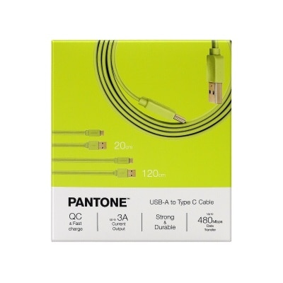 Pantone 20cm + 120cm Gold platted Typc C to Type A 接線