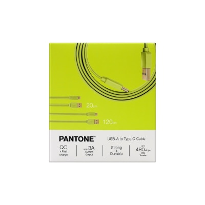 Pantone 20cm + 120cm Gold platted Typc C to Type A 接线