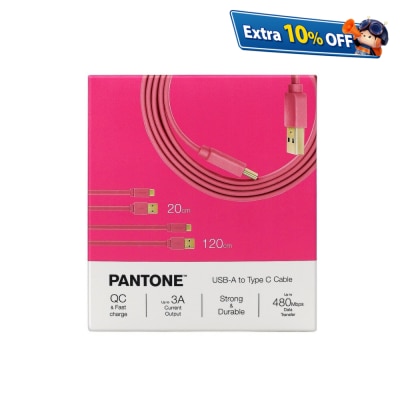 Pantone 20厘米 + 120厘米 Typc C to Type A 接线