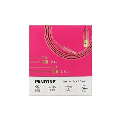 Pantone 20厘米 + 120厘米 Typc C to Type A 接线
