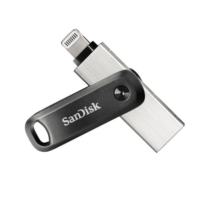 SanDisk DIX60N iXpand Go 256GB Lightning USB手指