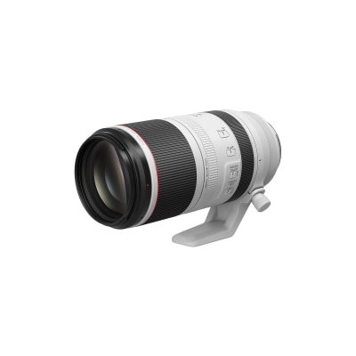 CANON 佳能 RF 100-500mm f/4.5-7.1L IS USM 镜头