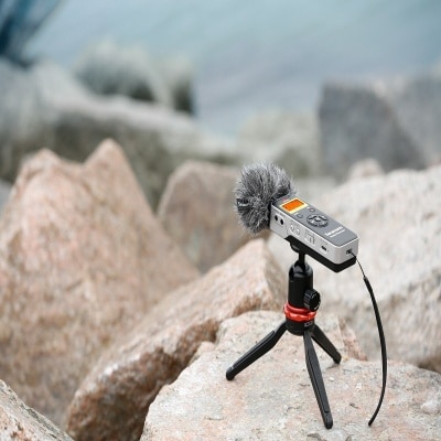 FTRHK-12106241-BACK-thumbnail.jpg