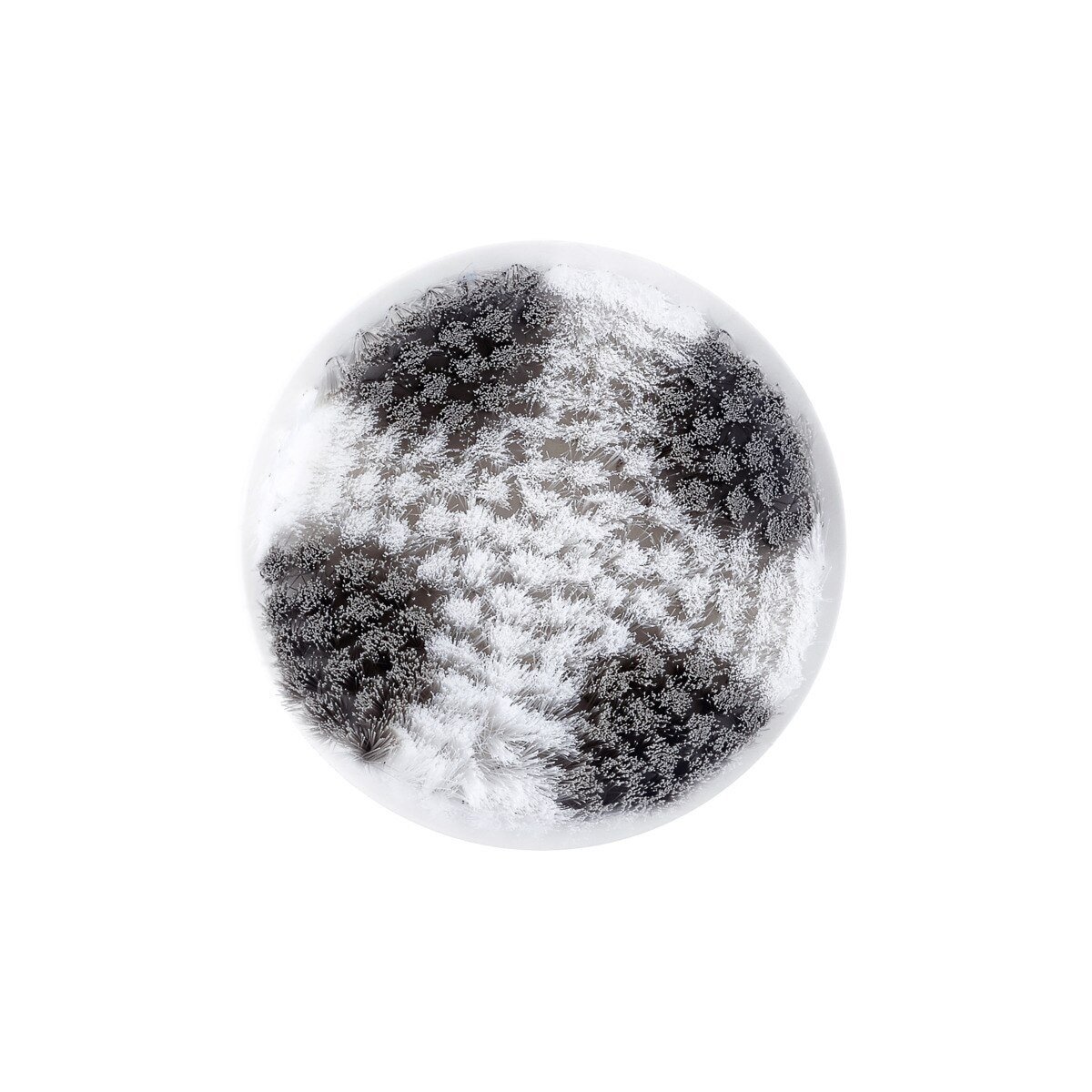 FTRHK-12193760-FEAT2-zoom.jpg