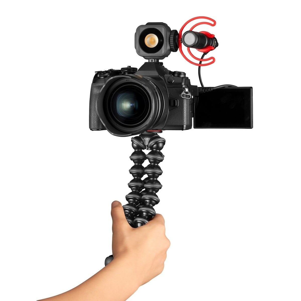 FTRHK-12333110-BACK-zoom.jpg