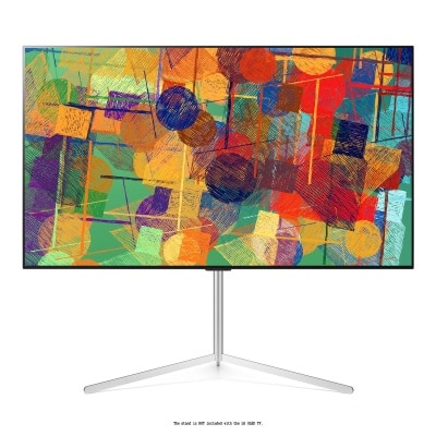 LG 樂金 OLED 油畫式支架