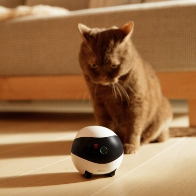 FTRHK-12464312-FEAT2-thumbnail.jpg