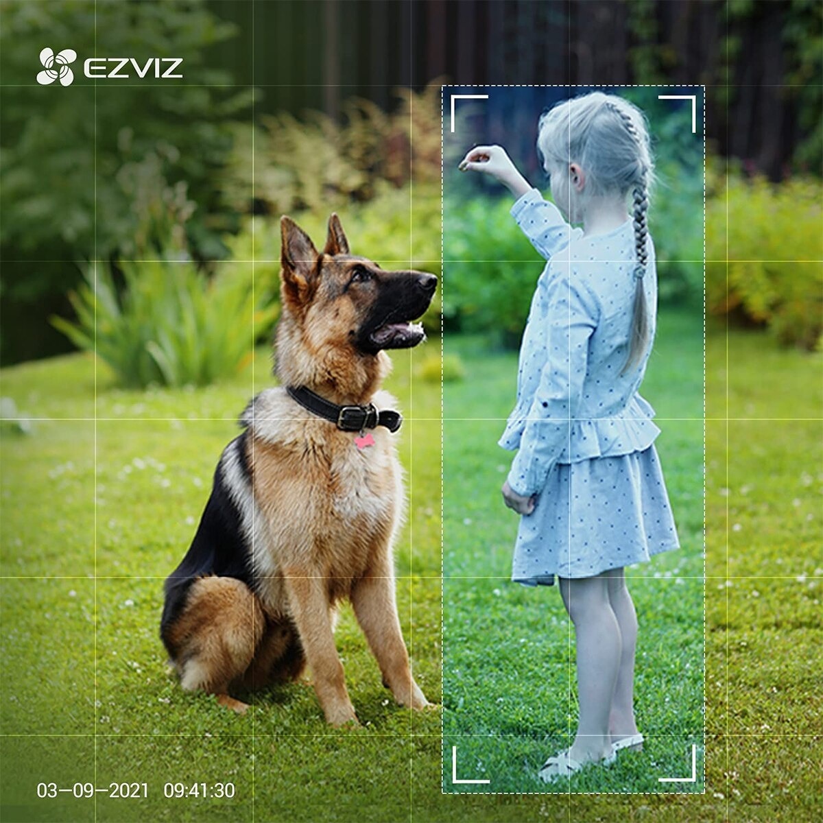 FTRHK-12465593-FEAT1-zoom.jpg