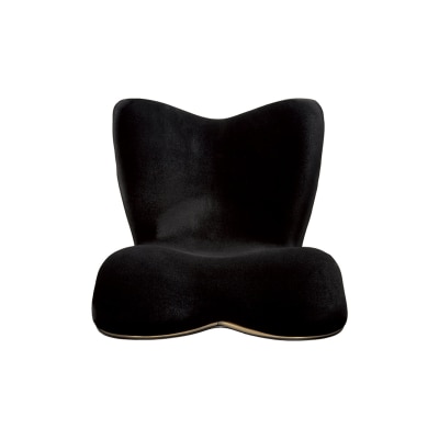 Style PREMIUM DX 姿優墊