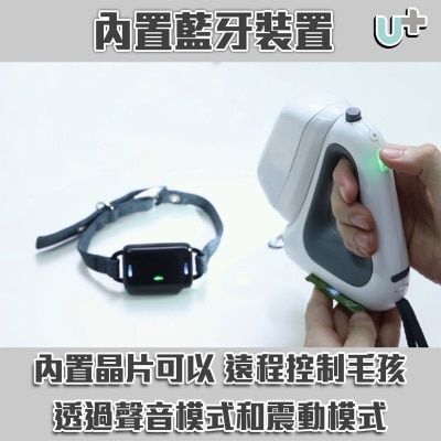 FTRHK-12565789-BACK-thumbnail.jpg