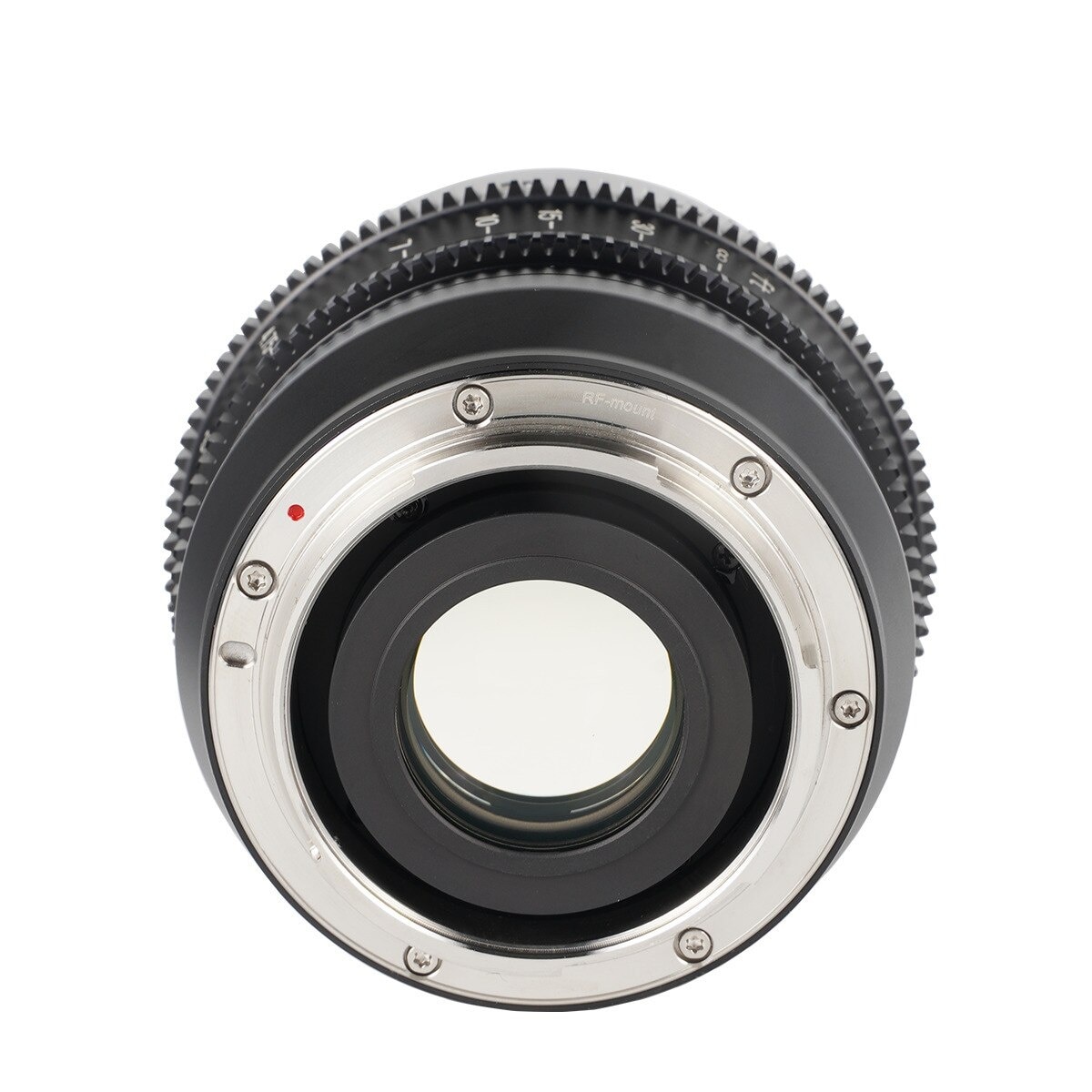 FTRHK-12593878-BACK-zoom.jpg