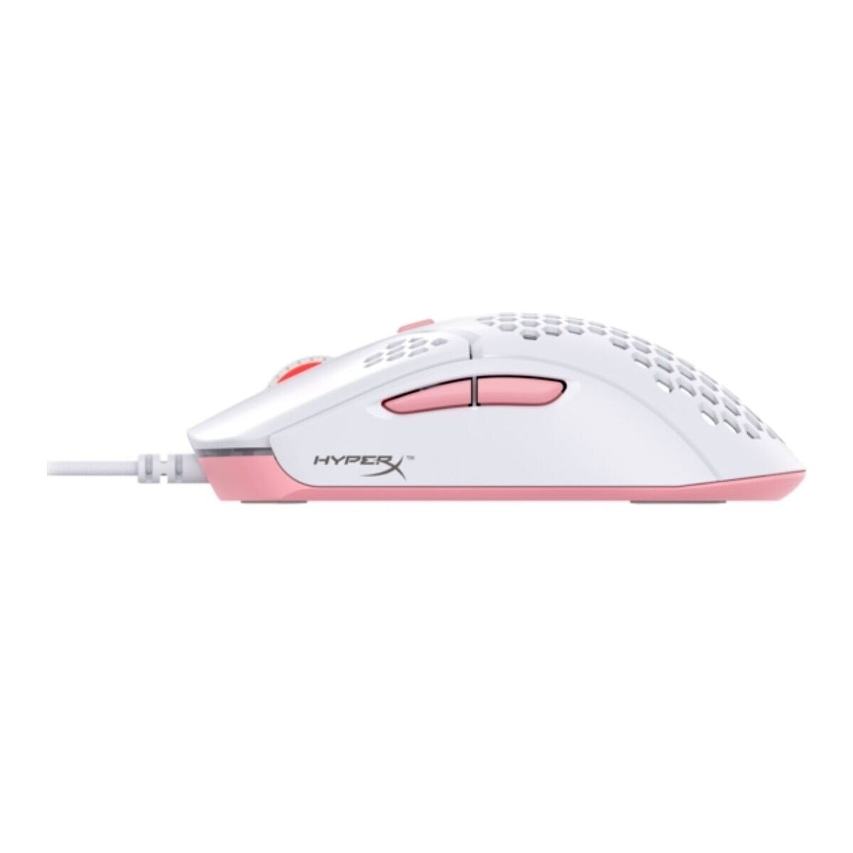 FTRHK-12616566-BACK-zoom.jpg
