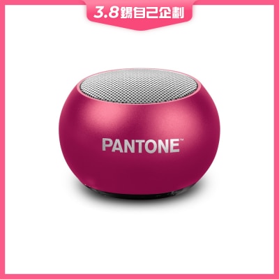 Pantone MINI Wireless Speaker