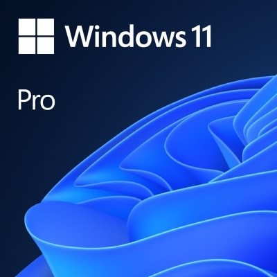 MICROSOFT Windows 11 Pro (Digital download version)